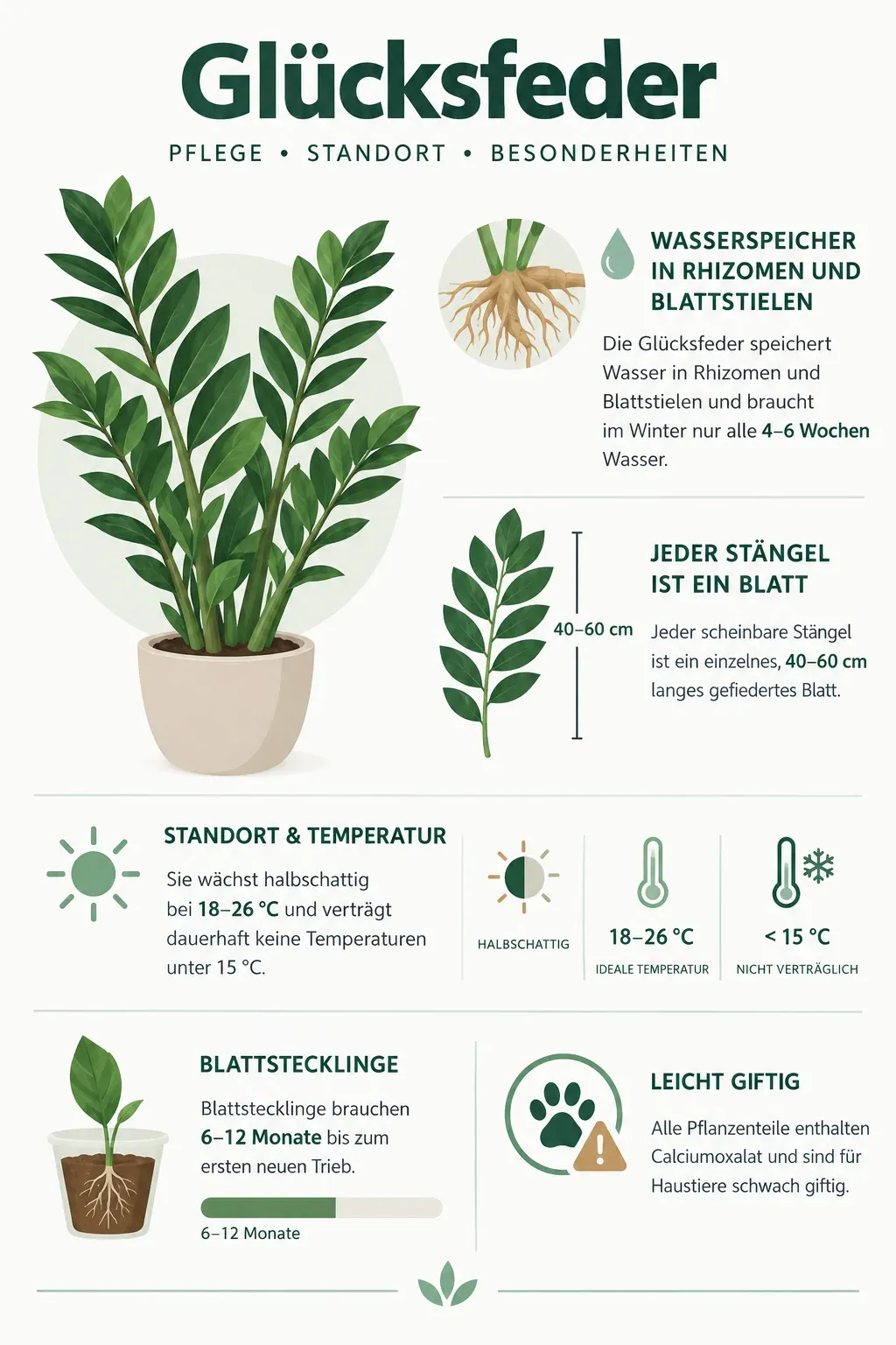 Glücksfeder: Infografik